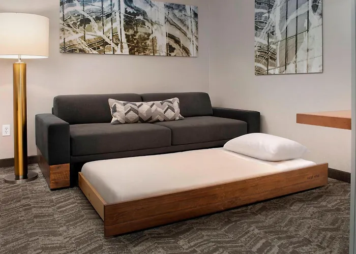 Family Hotel: Springhill Suites Potomac Mills Woodbridge